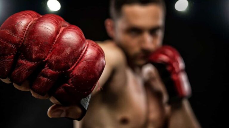 The 5 Best MMA Gloves For Training